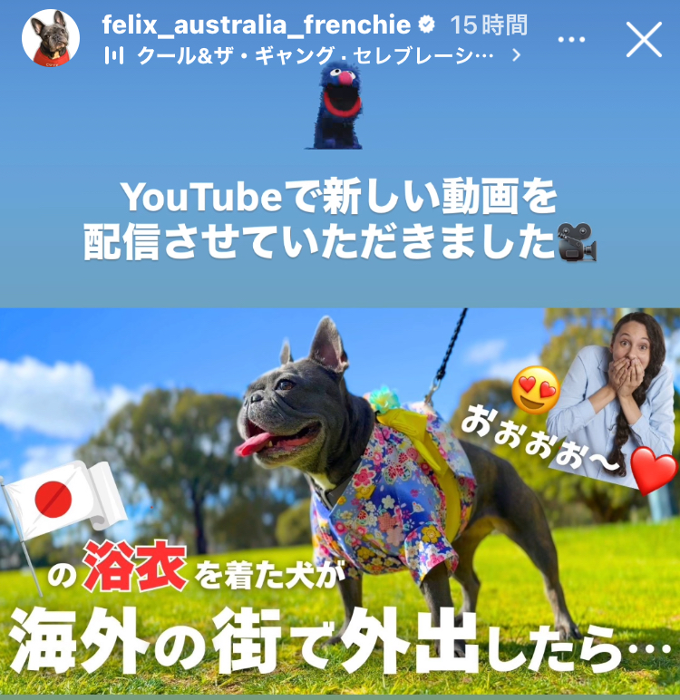 フィっちゃん